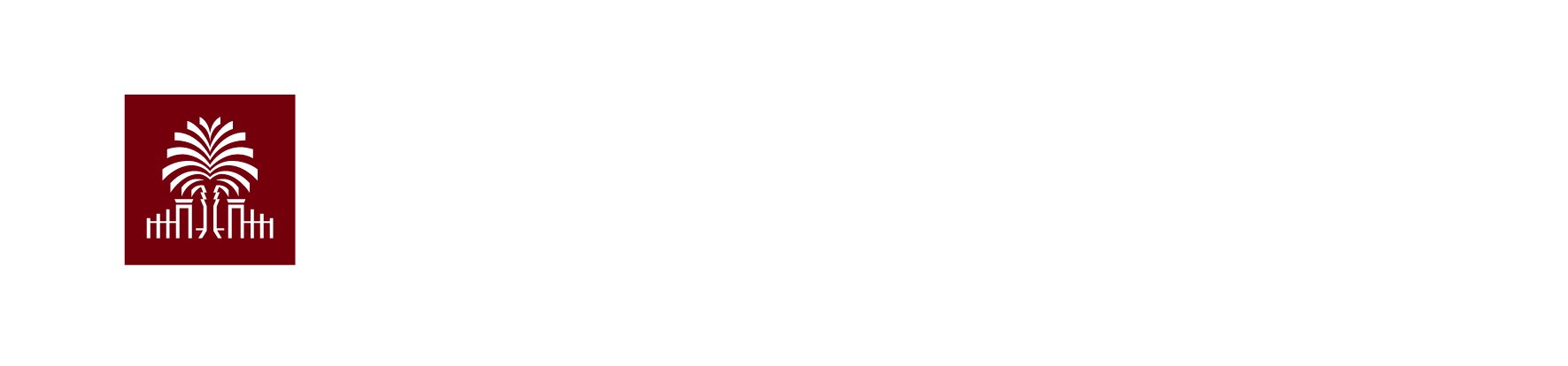 AI Institute - University of South Carolina